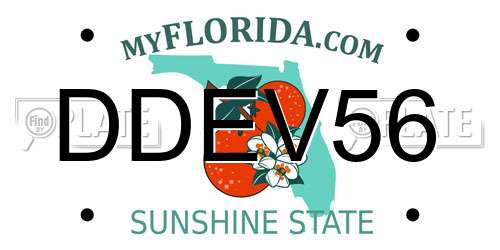DDEV56 Florida License Plate