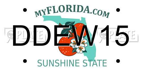 DDEW15 Florida License Plate