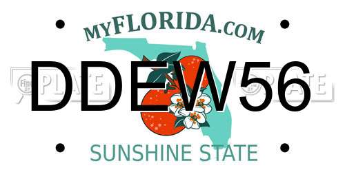 DDEW56 Florida License Plate
