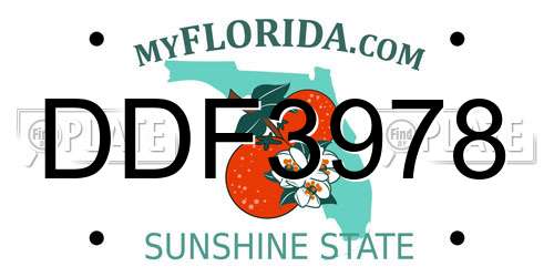 DDF3978 Florida License Plate