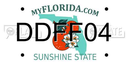 DDFF04 Florida License Plate