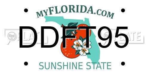 DDFT95 Florida License Plate