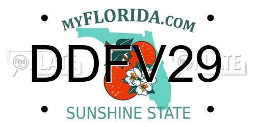 DDFV29 Florida License Plate