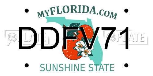 DDFV71 Florida License Plate