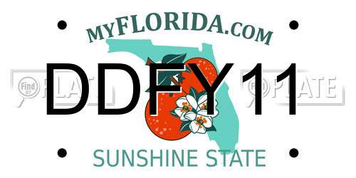 DDFY11 Florida License Plate