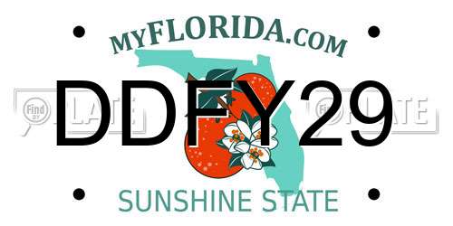 DDFY29 Florida License Plate