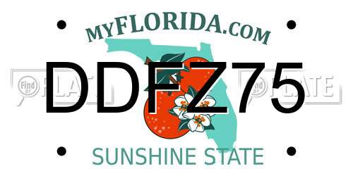 DDFZ75 Florida License Plate