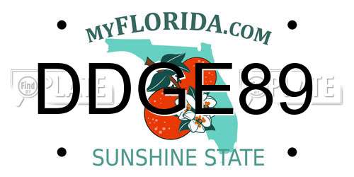 DDGE89 Florida License Plate