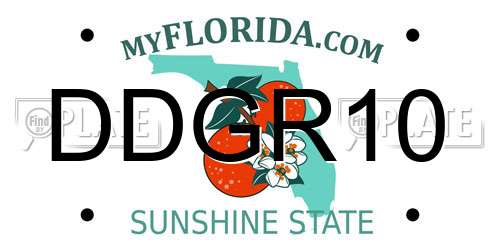 DDGR10 Florida License Plate