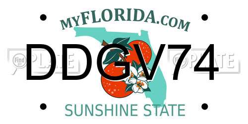 DDGV74 Florida License Plate
