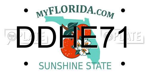 DDHE71 Florida License Plate