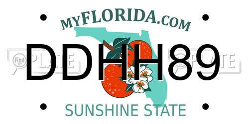 DDHH89 Florida License Plate