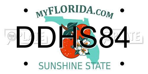 DDHS84 Florida License Plate