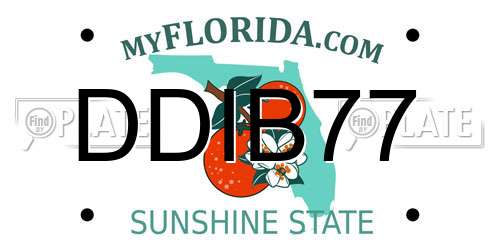 DDIB77 Florida License Plate