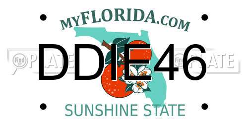 DDIE46 Florida License Plate