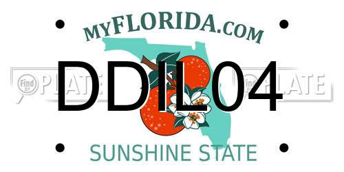 DDIL04 Florida License Plate