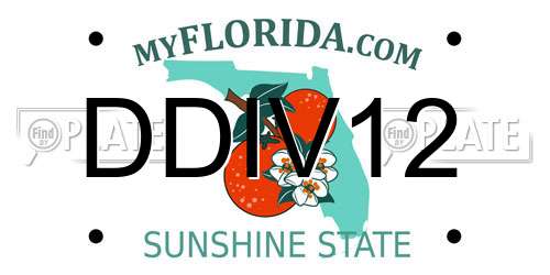 DDIV12 Florida License Plate