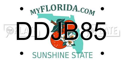 DDJB85 Florida License Plate