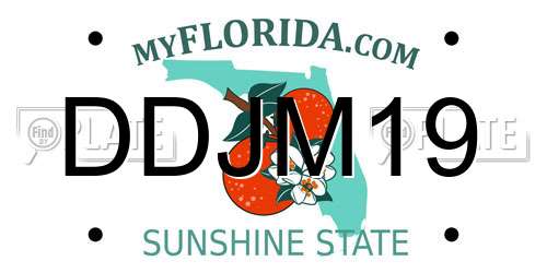 DDJM19 Florida License Plate