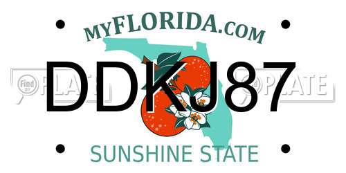 DDKJ87 Florida License Plate