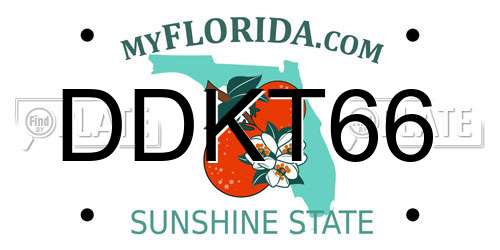 DDKT66 Florida License Plate
