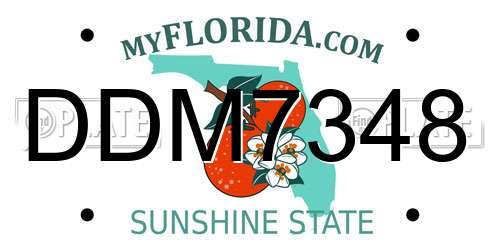 DDM7348 Florida License Plate