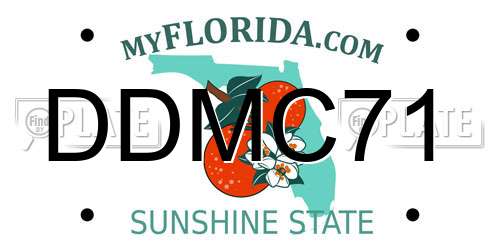 DDMC71 Florida License Plate