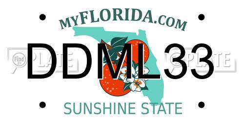 DDML33 Florida License Plate