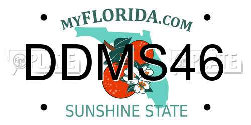 DDMS46 Florida License Plate