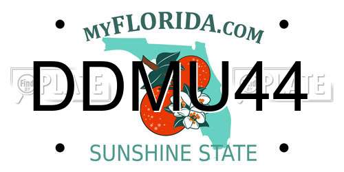 DDMU44 Florida License Plate