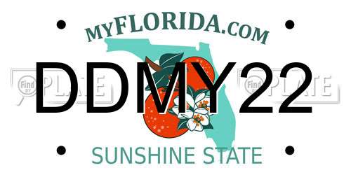 DDMY22 Florida License Plate
