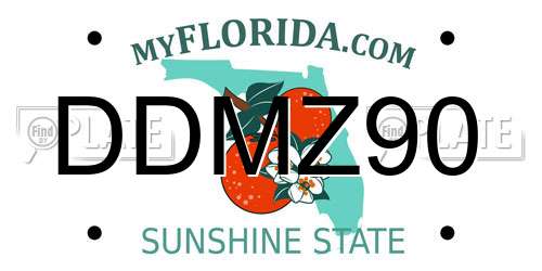 DDMZ90 Florida License Plate