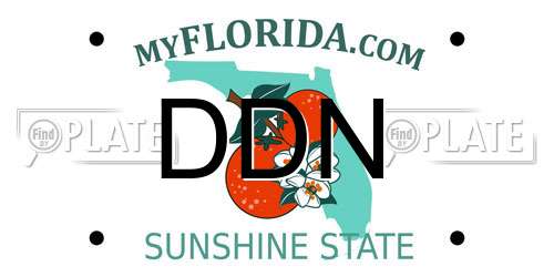 DDN Florida License Plate