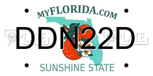 DDN22D Florida License Plate