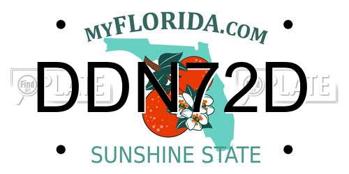 DDN72D Florida License Plate