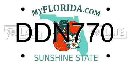 DDN770 Florida License Plate