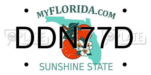 DDN77D Florida License Plate
