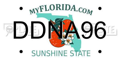 DDNA96 Florida License Plate
