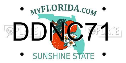 DDNC71 Florida License Plate