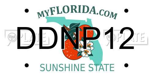 DDNP12 Florida License Plate
