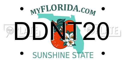 DDNT20 Florida License Plate