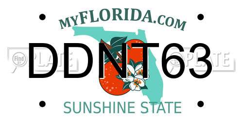 DDNT63 Florida License Plate