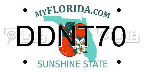 DDNT70 Florida License Plate
