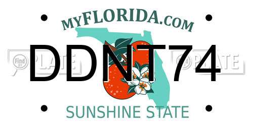 DDNT74 Florida License Plate