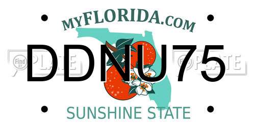 DDNU75 Florida License Plate