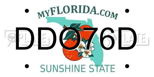 DDO76D Florida License Plate