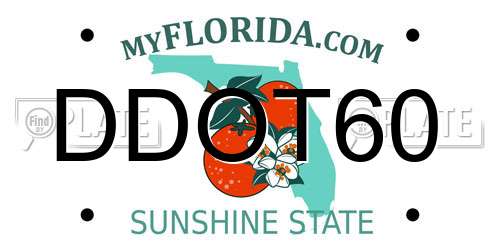 DDOT60 Florida License Plate
