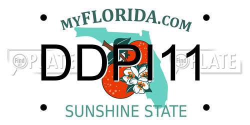 DDPI11 Florida License Plate