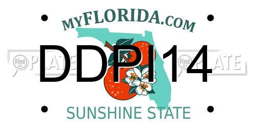 DDPI14 Florida License Plate