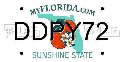 DDPY72 Florida License Plate